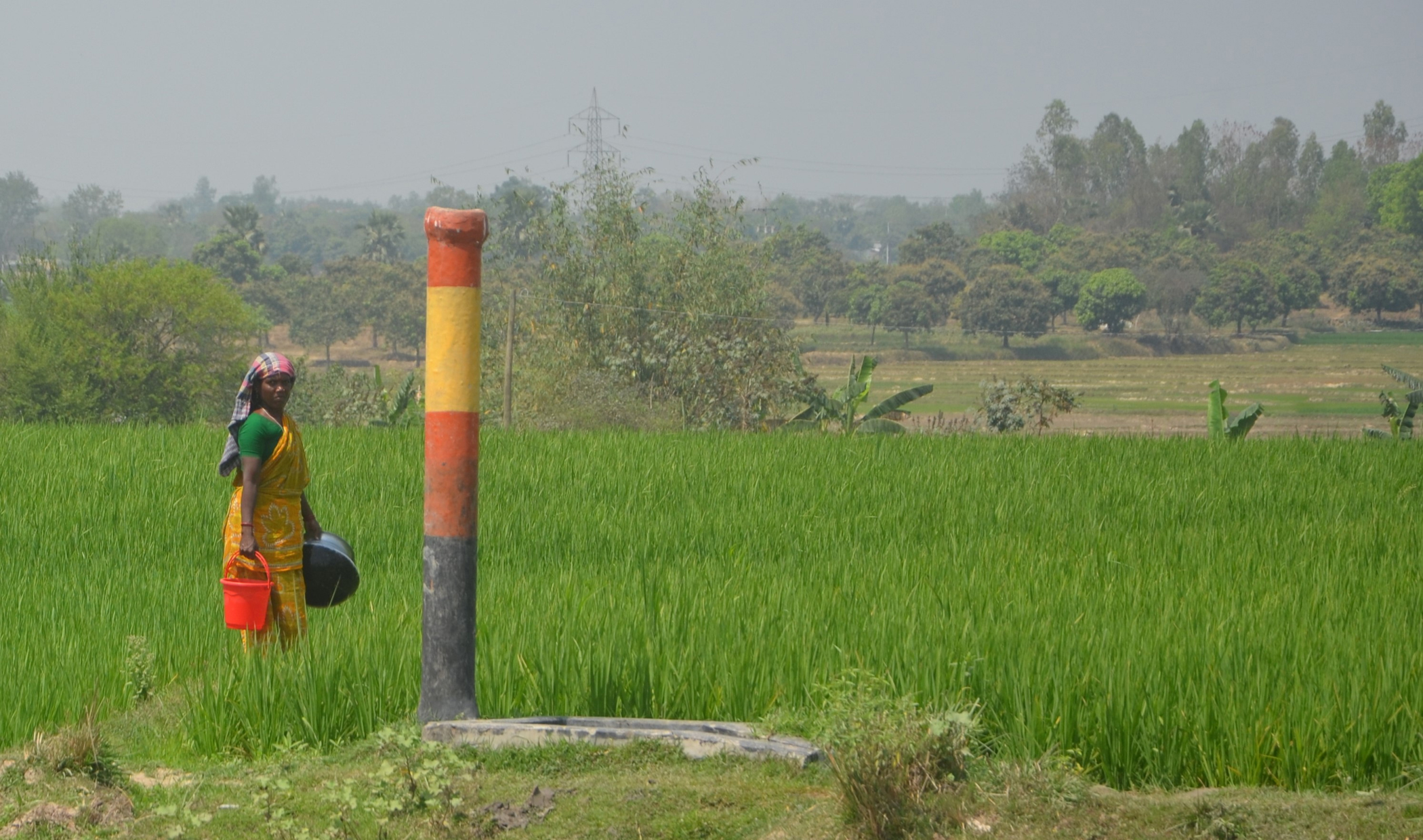 Banning groundwater irrigation in the Barind Tract is not the answer