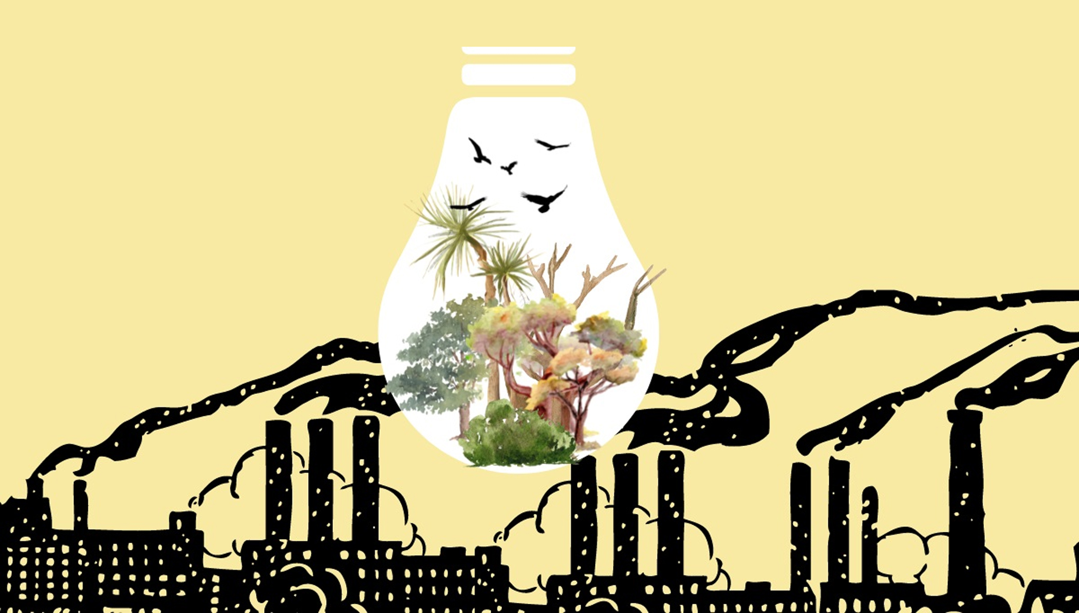 Can the new government break Bangladesh's energy paradox?