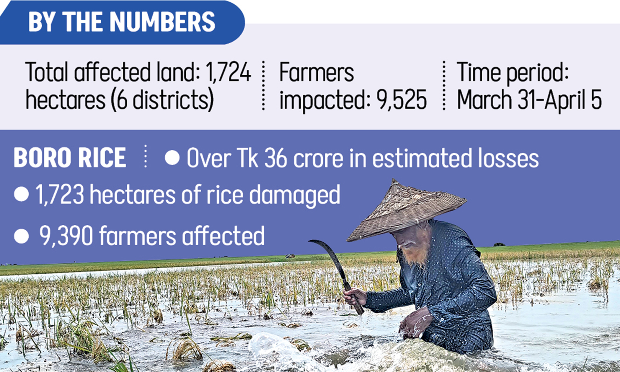 Heavy rain, upstream water damage crops in six districts