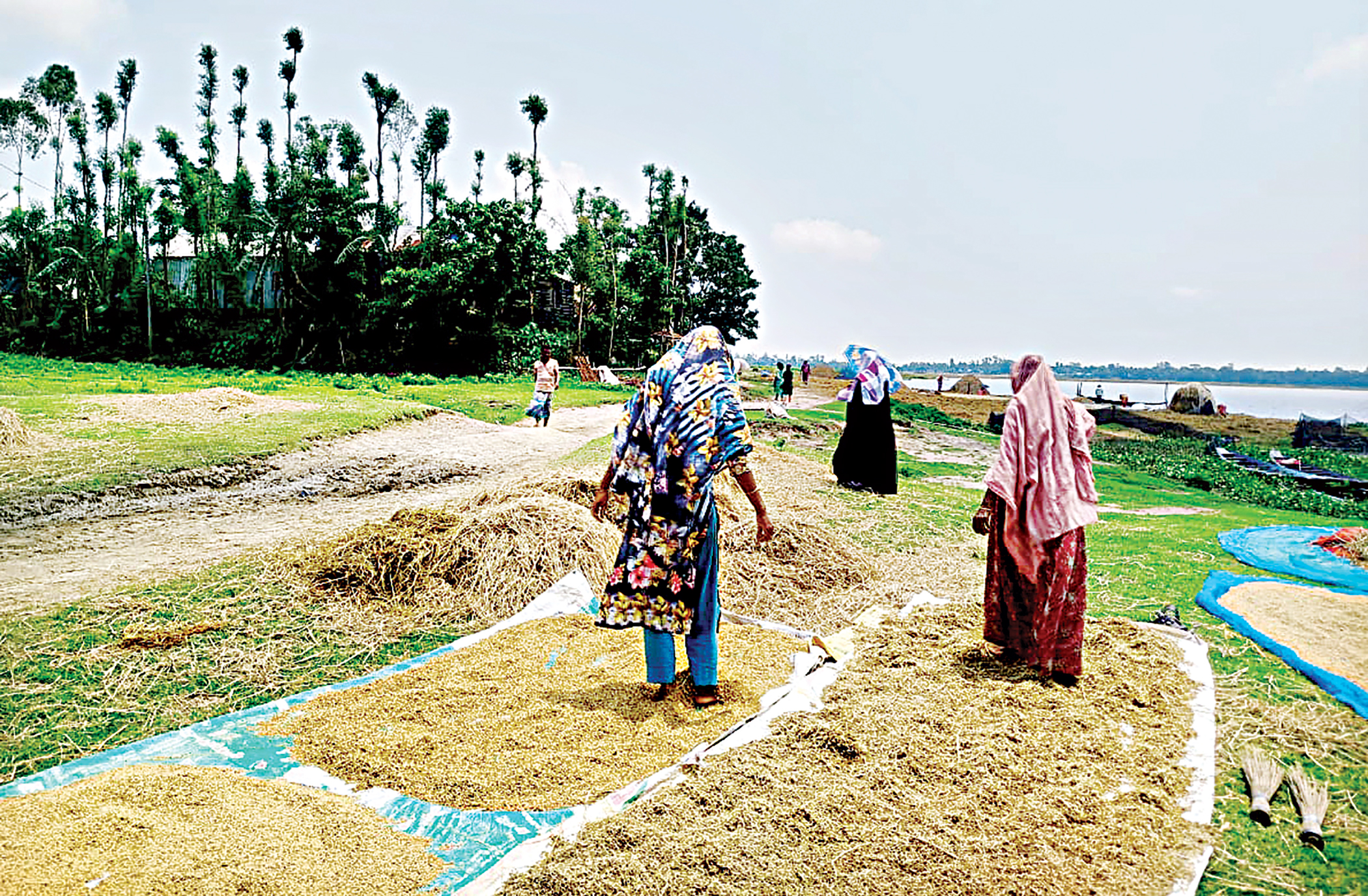 Women farmers: Indispensable in fields but invisible in records