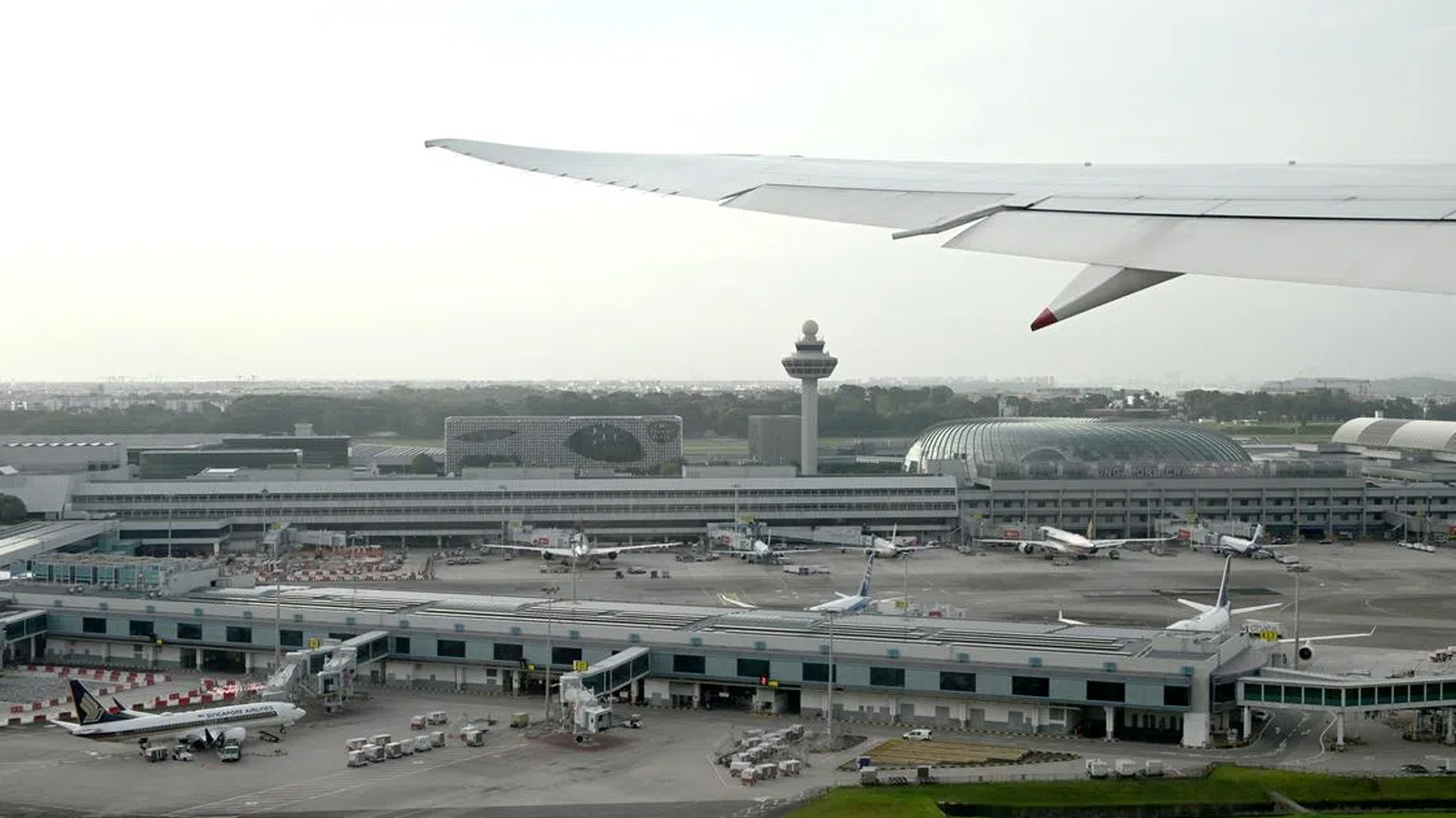 Airfares will take longer than expected to return to normal levels, says global airline body