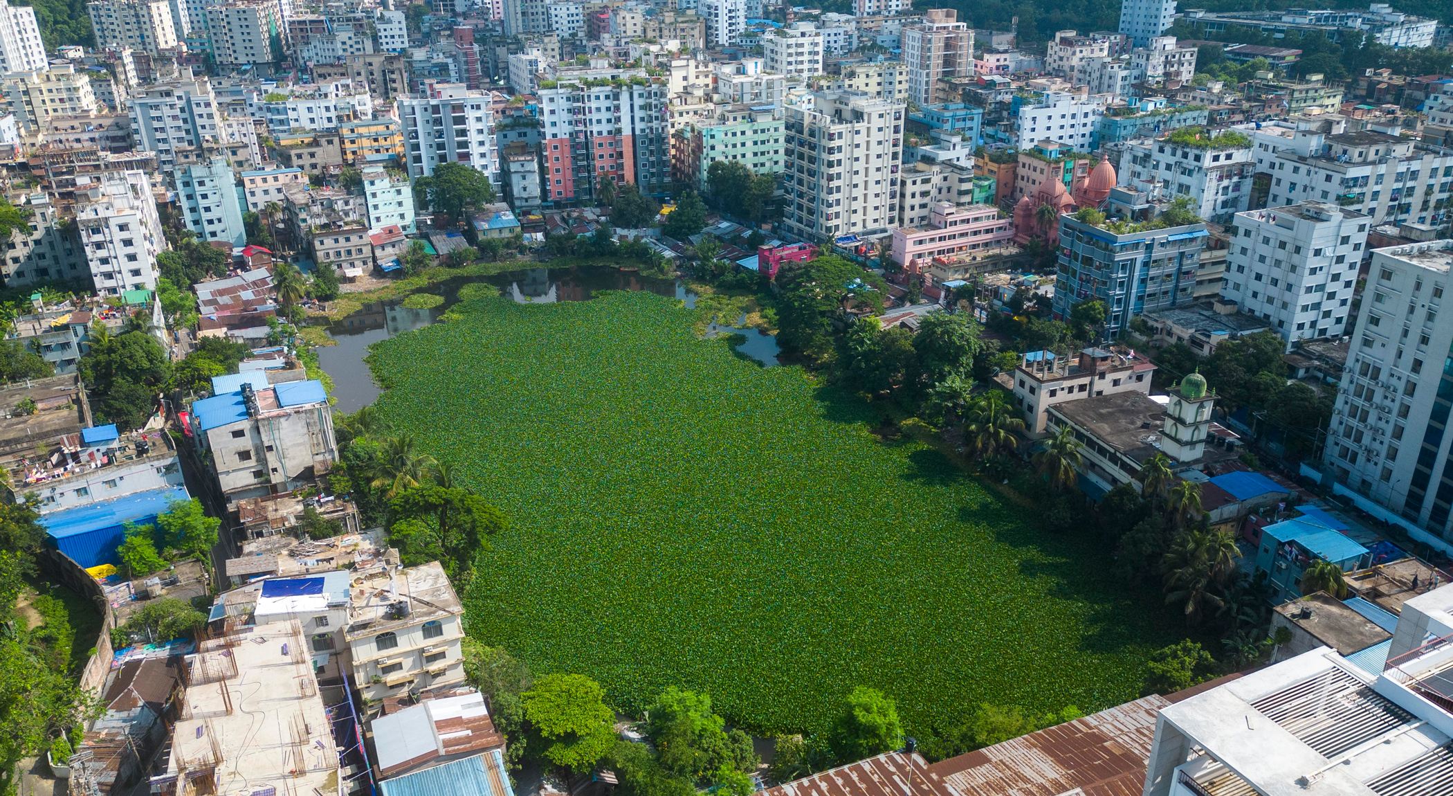 Askar Dighi in port city: A Mughal-era legacy choking on pollution