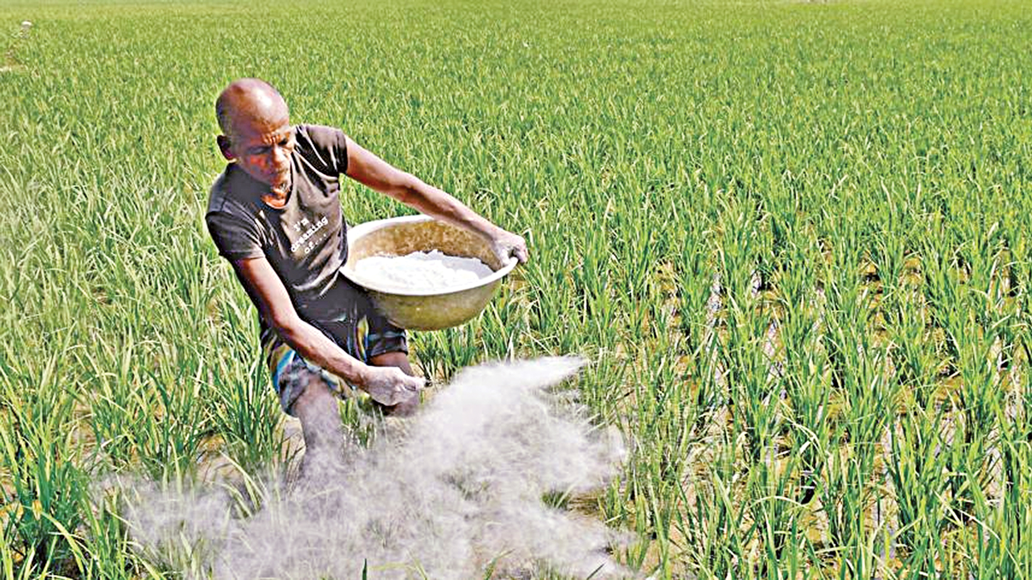 Fertiliser prices soar amid ‘artificial crisis’