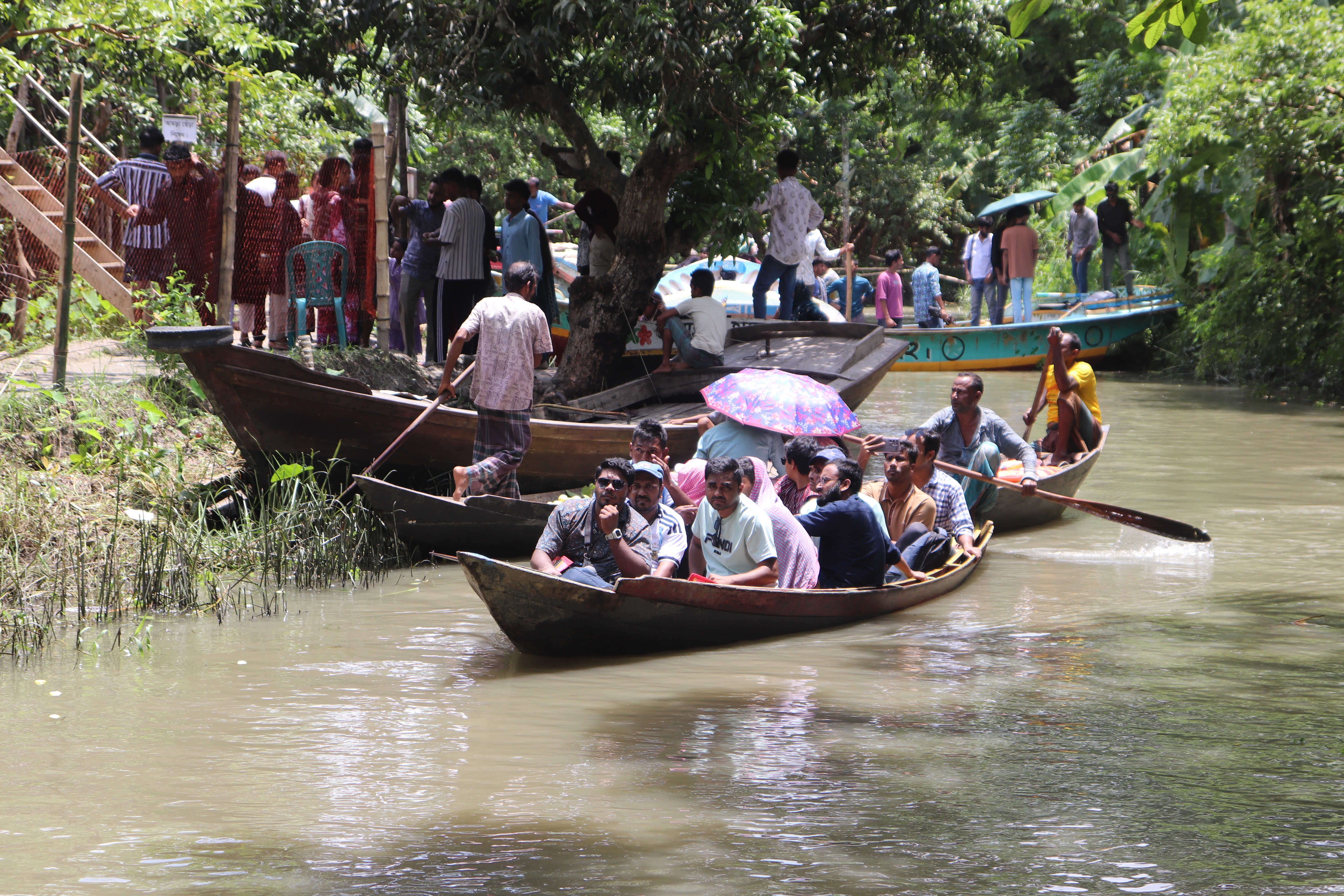 Guava season turns Pirojpur orchards into floating tourist trail