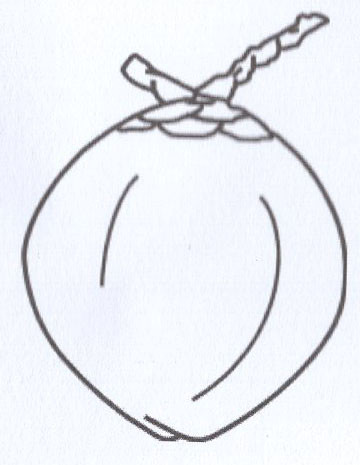 Party Symbol