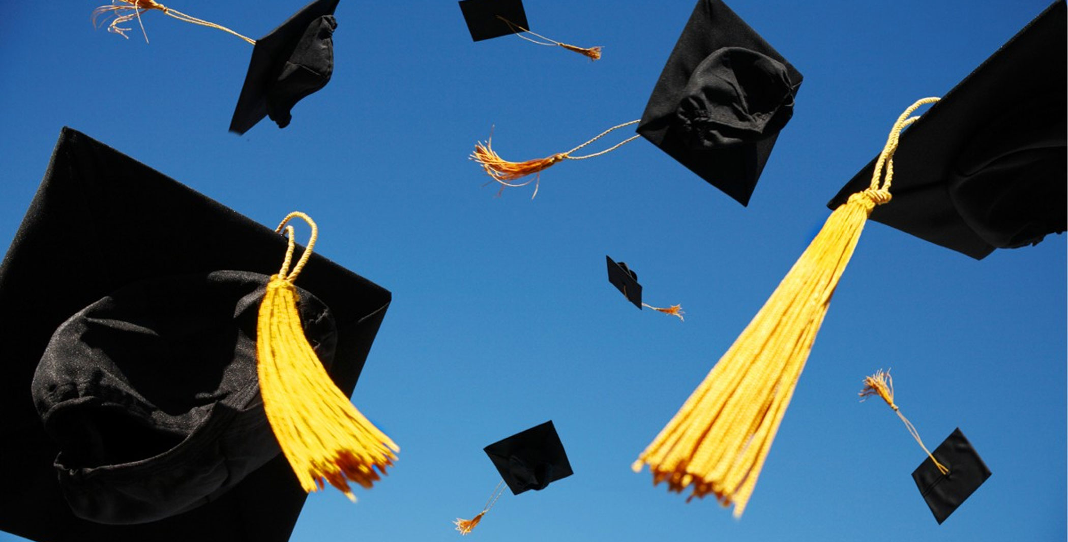 Time for a radical rethinking of our education system