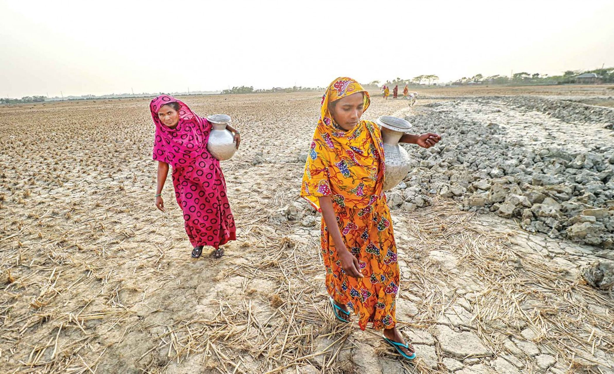 Salinity getting worse in coastal areas