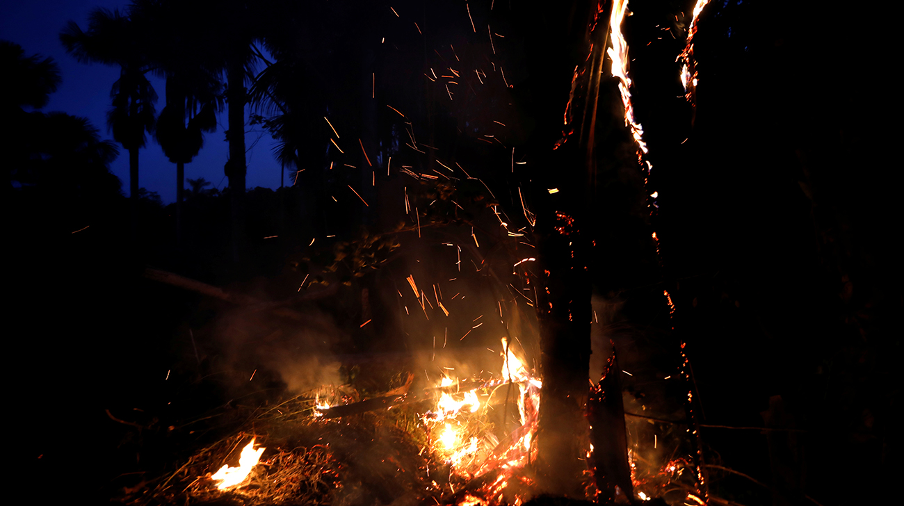 Raging Amazon wildfires ‘a crime against humanity’