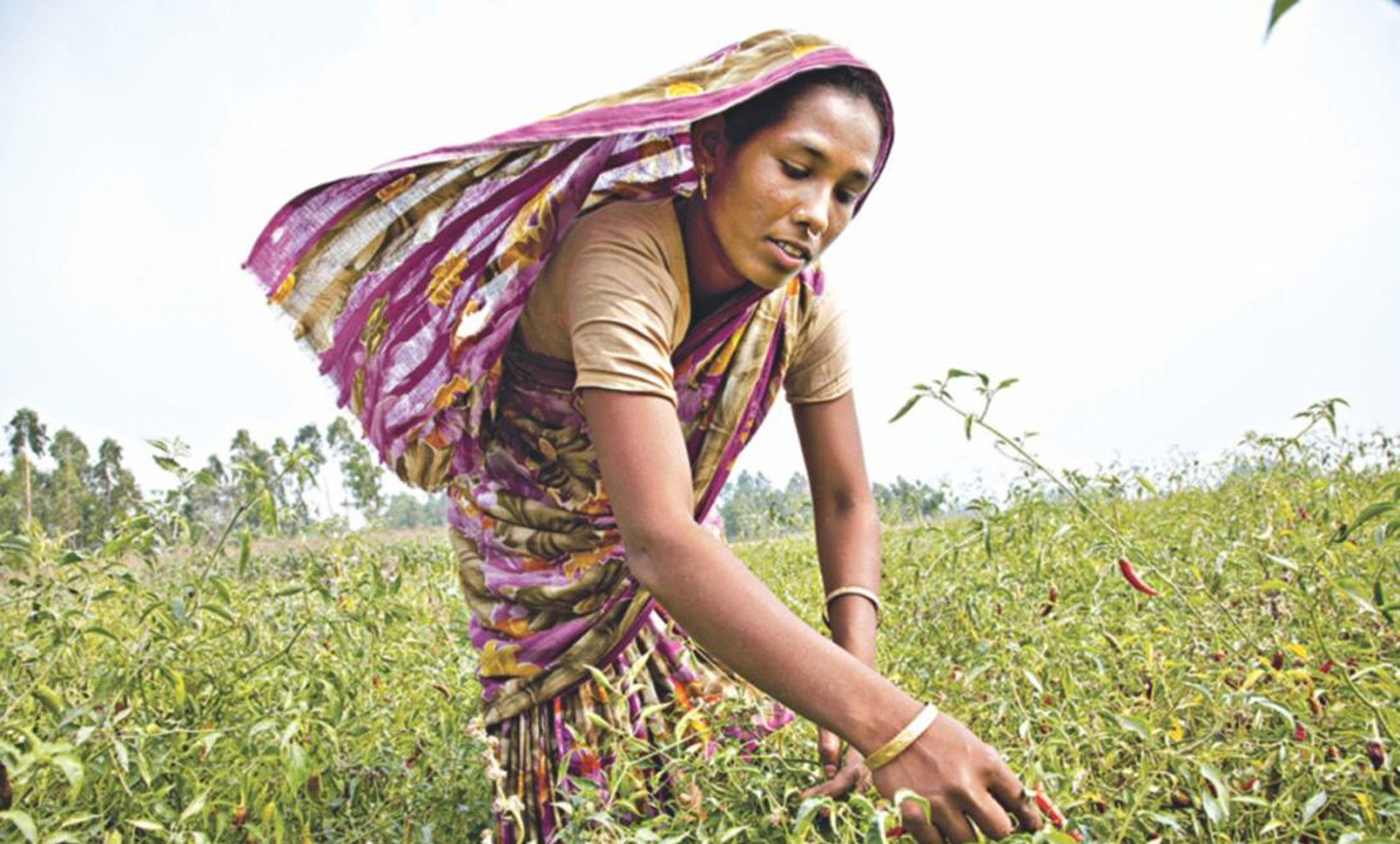 Getting the best out of a changing rural economy