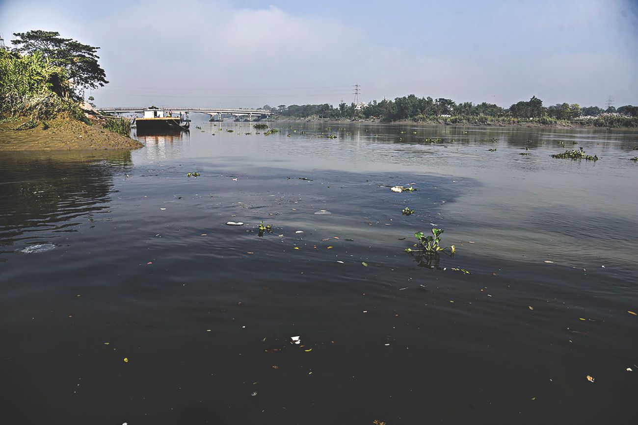 Big industries killing Halda