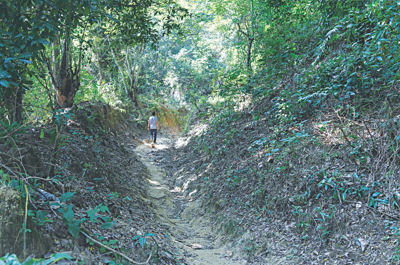 Largest wildlife sanctuary under threat