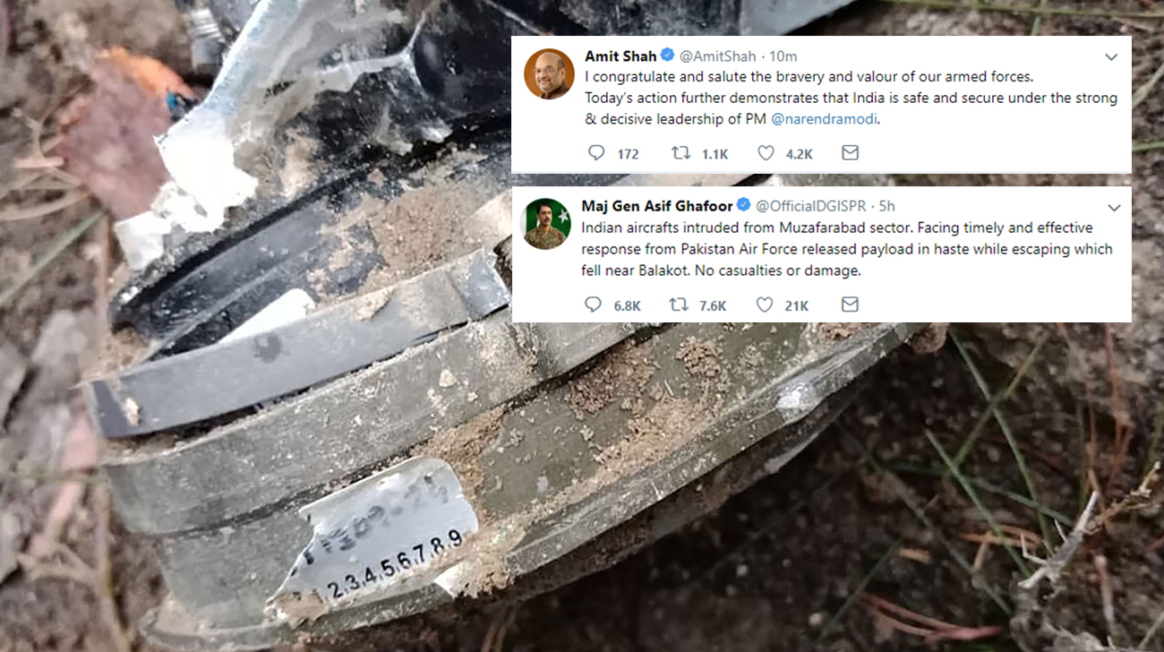 ‘India air strike in Pakistan killed 300 militants’ 