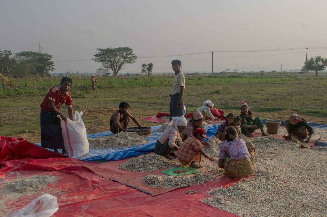 No rule of law for Rohingyas