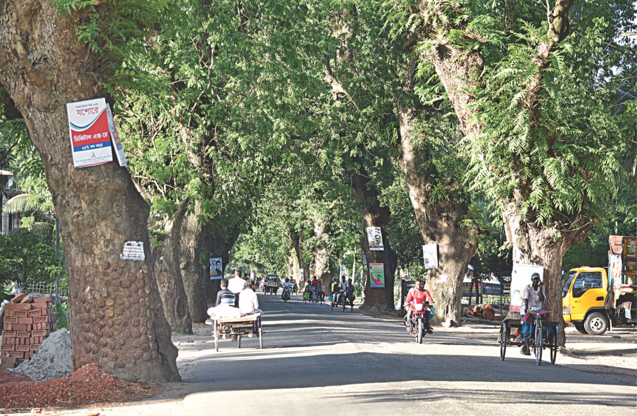 Jessore-Benapole Road Expansion: Century-old trees to stay