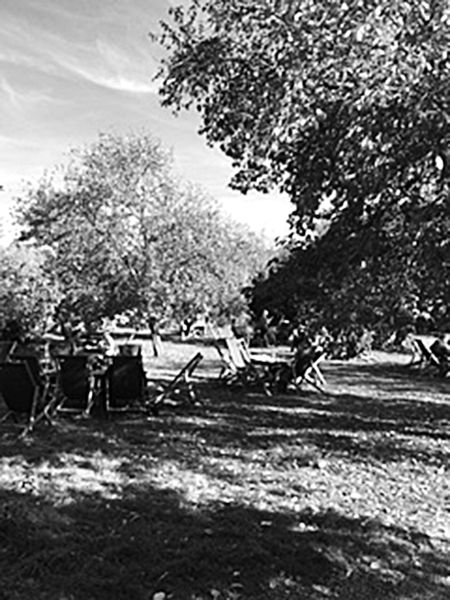 Tagore and China: A Cambridge Perspective