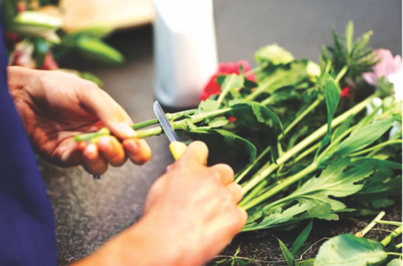 Flowers that beautify the home and soul 