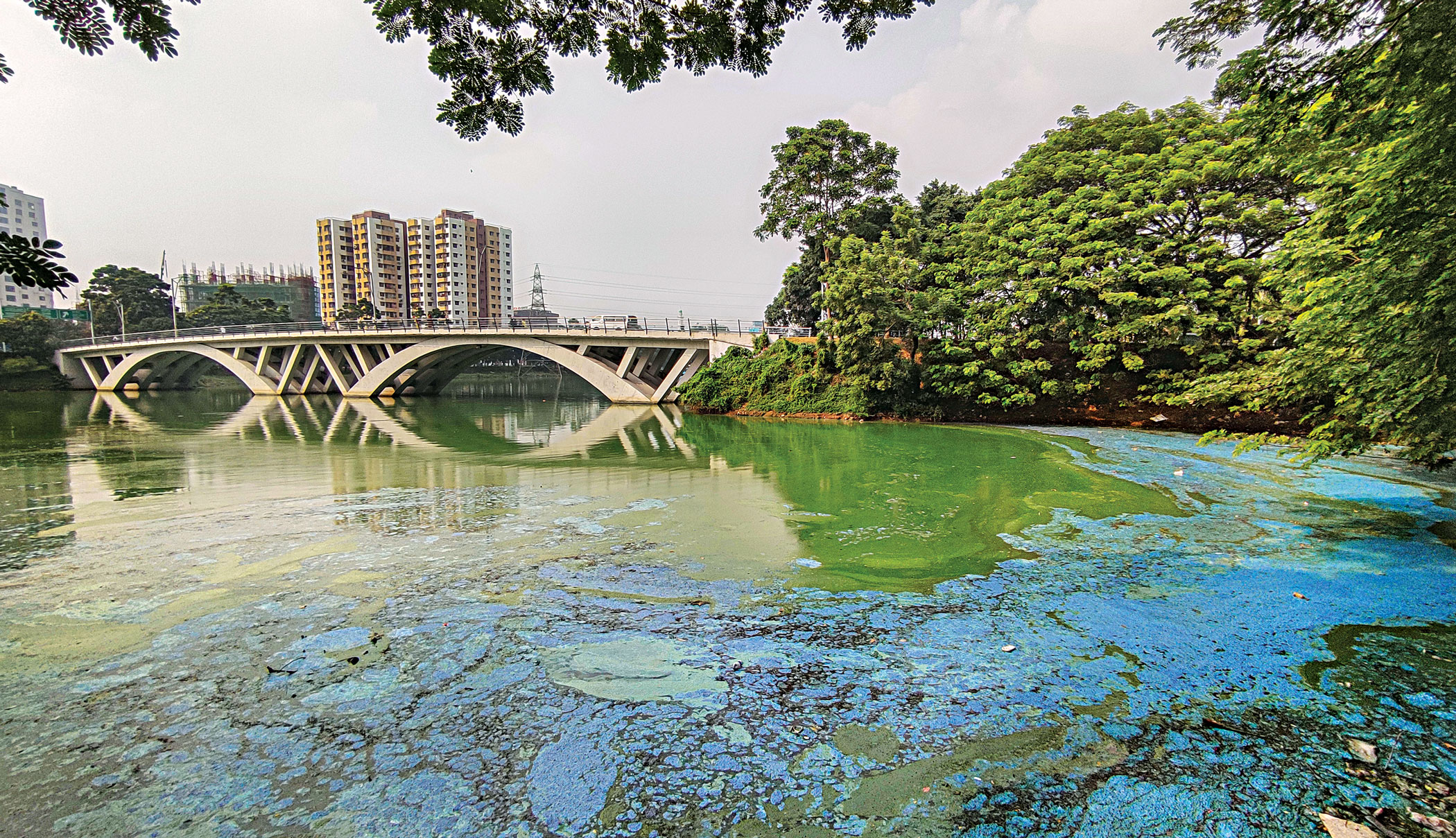Hatirjheel lake, scenic spot or a crime scene?