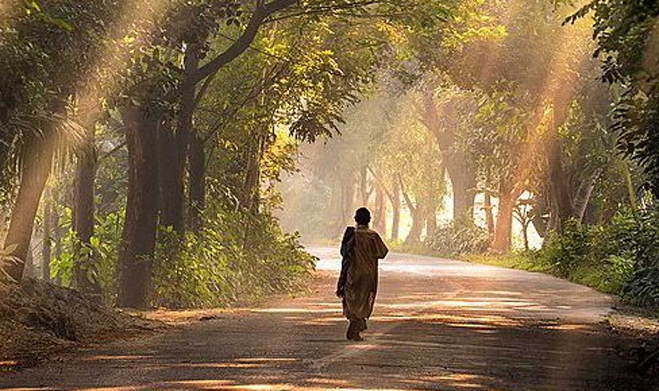 Walking is not pedestrian