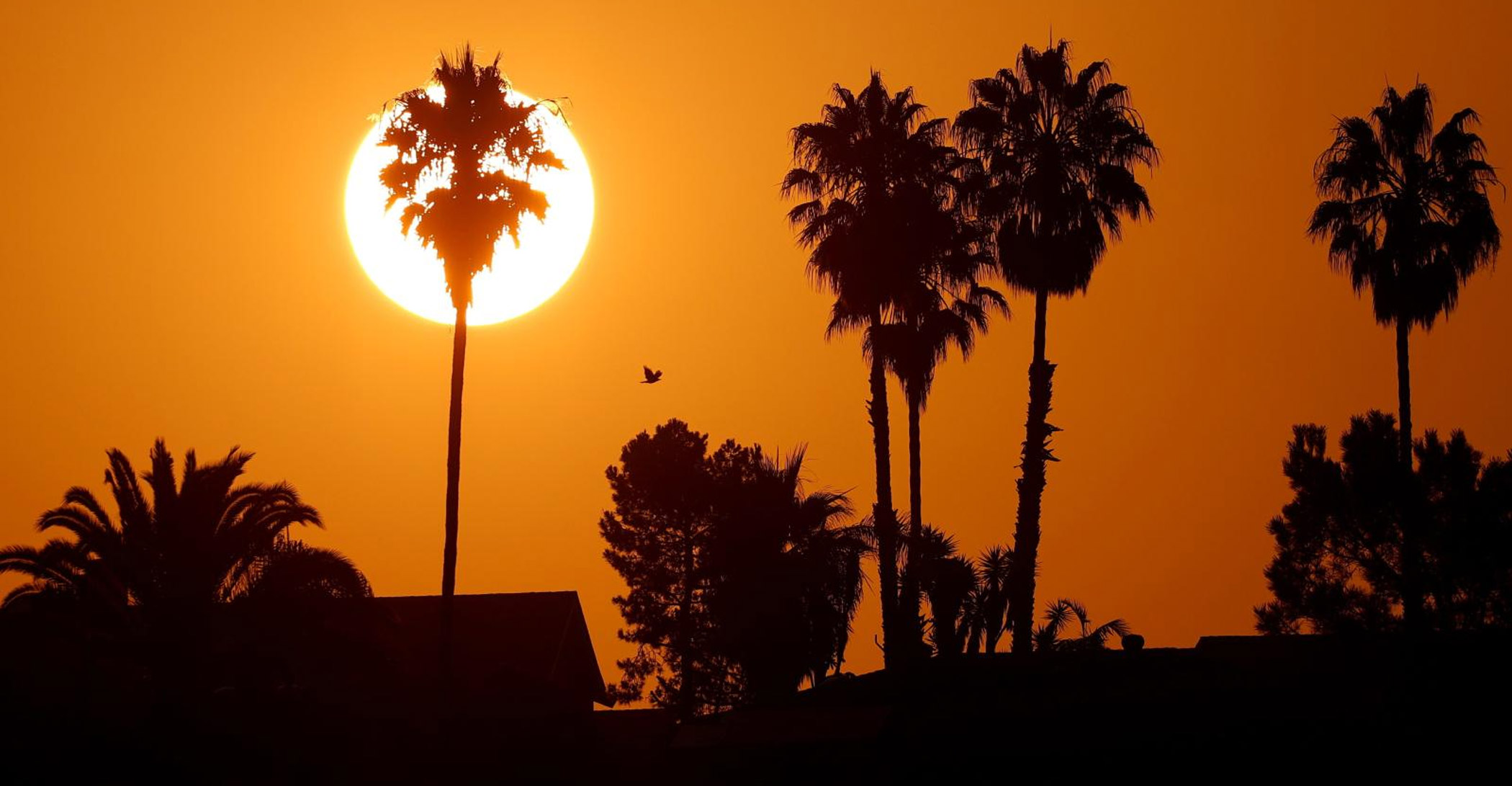Thanks to climate change, nights are warming faster than days