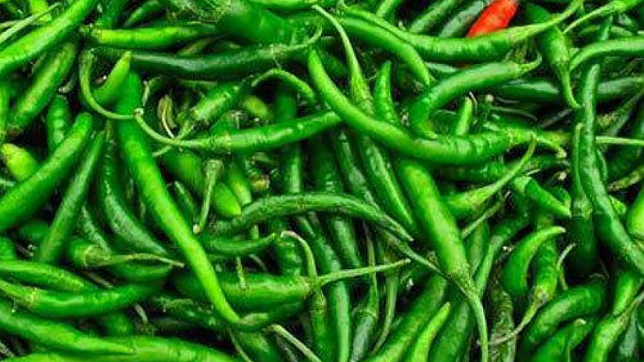 Green chilli sells for Tk 700 a kg!