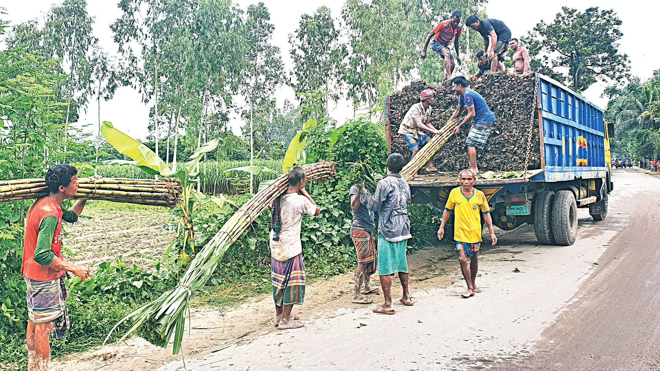 Modernisation of sugar mills: Little progress in 8 months
