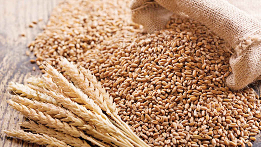 India export ban: Pressure now brews over wheat 