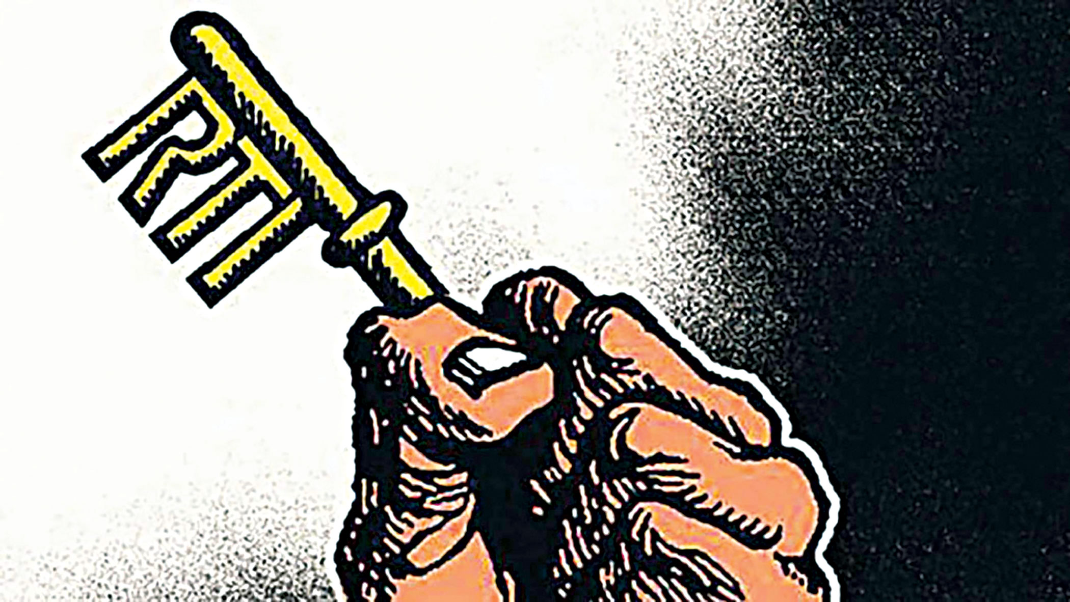 RTI can contribute to government accountability