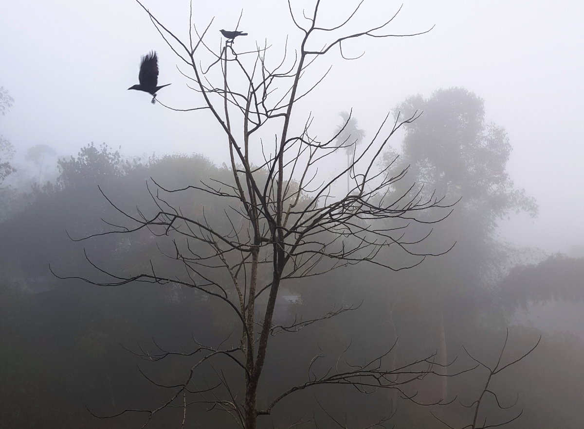 Seasonal depression is much more than just winter blues