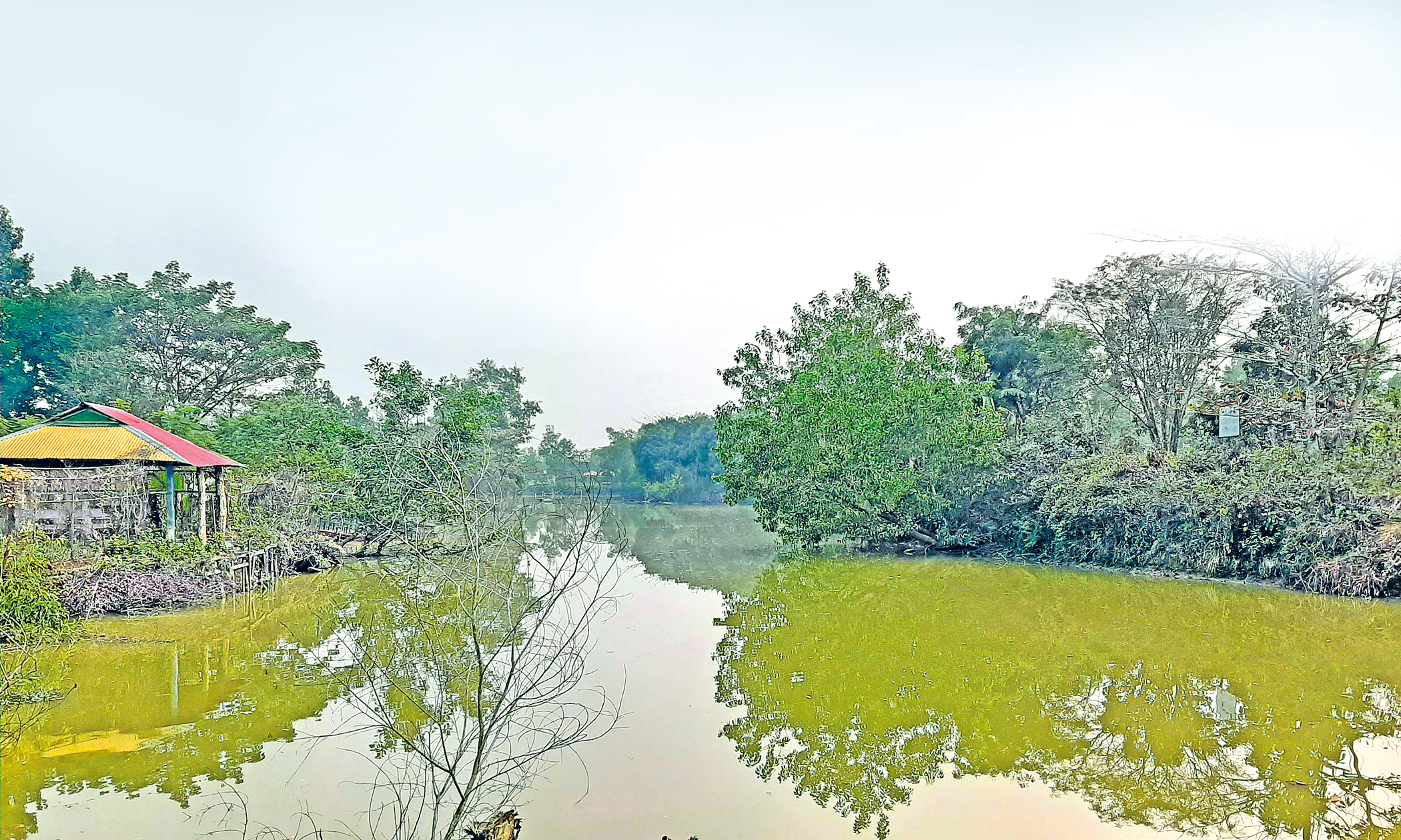 A trail of death and mismanagement