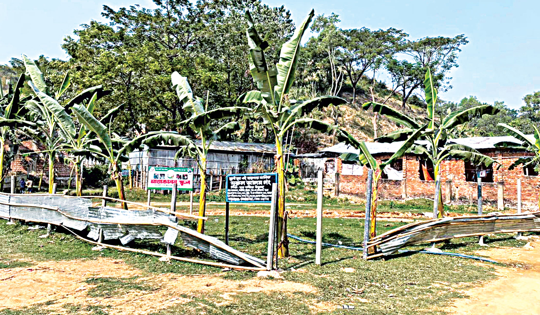 Turning hill into home: Don’t worry about the law!