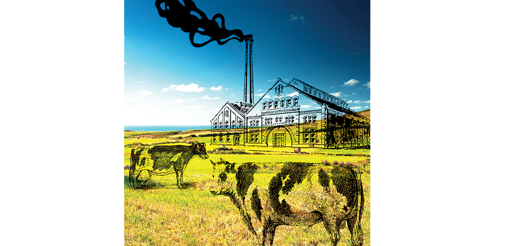 SHORT STORY OF THE MONTH: The lingering shadows of grief  in ‘The Faraway Things’