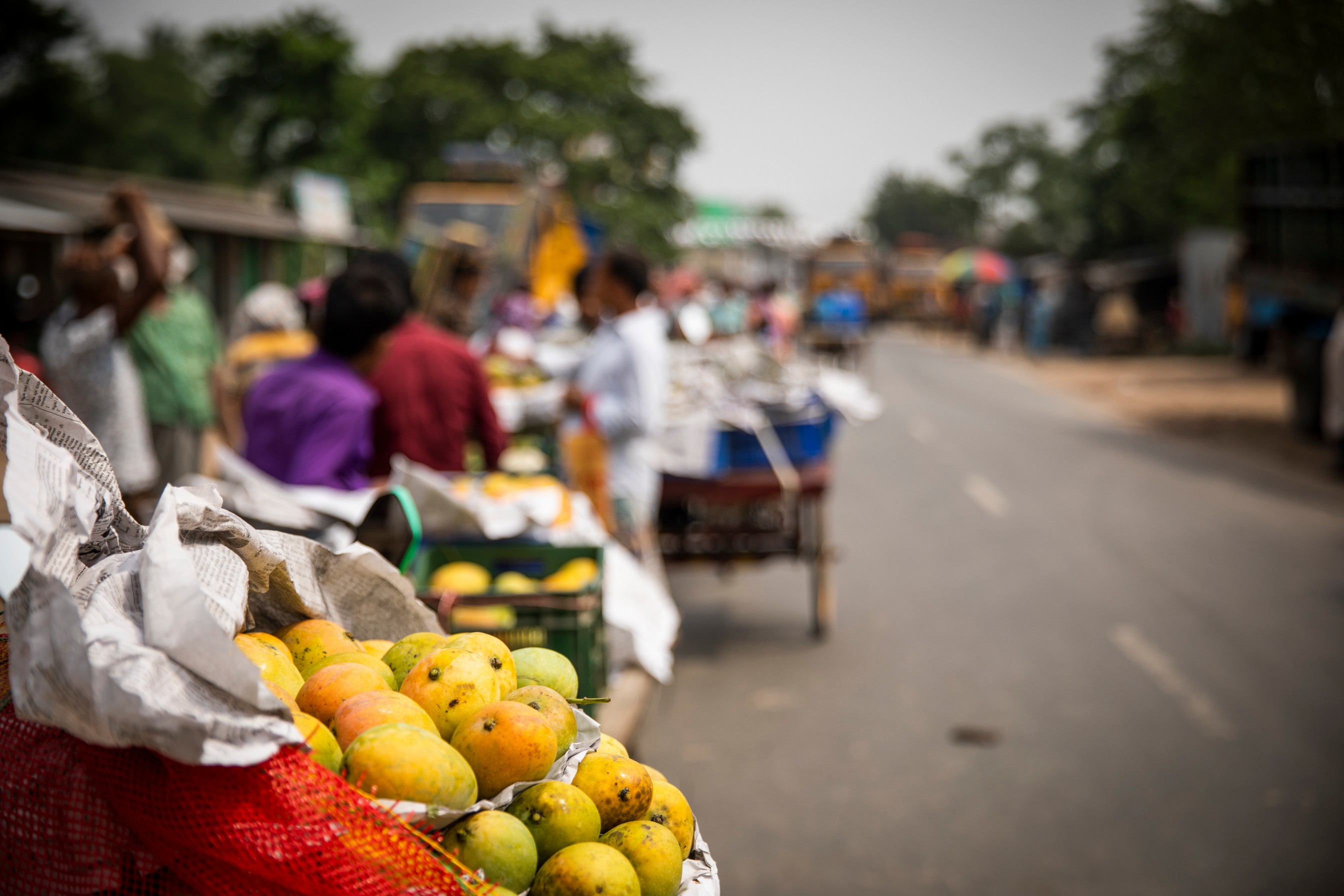 Sights and sounds of Chapai Nawabganj: the mango capital of Bangladesh