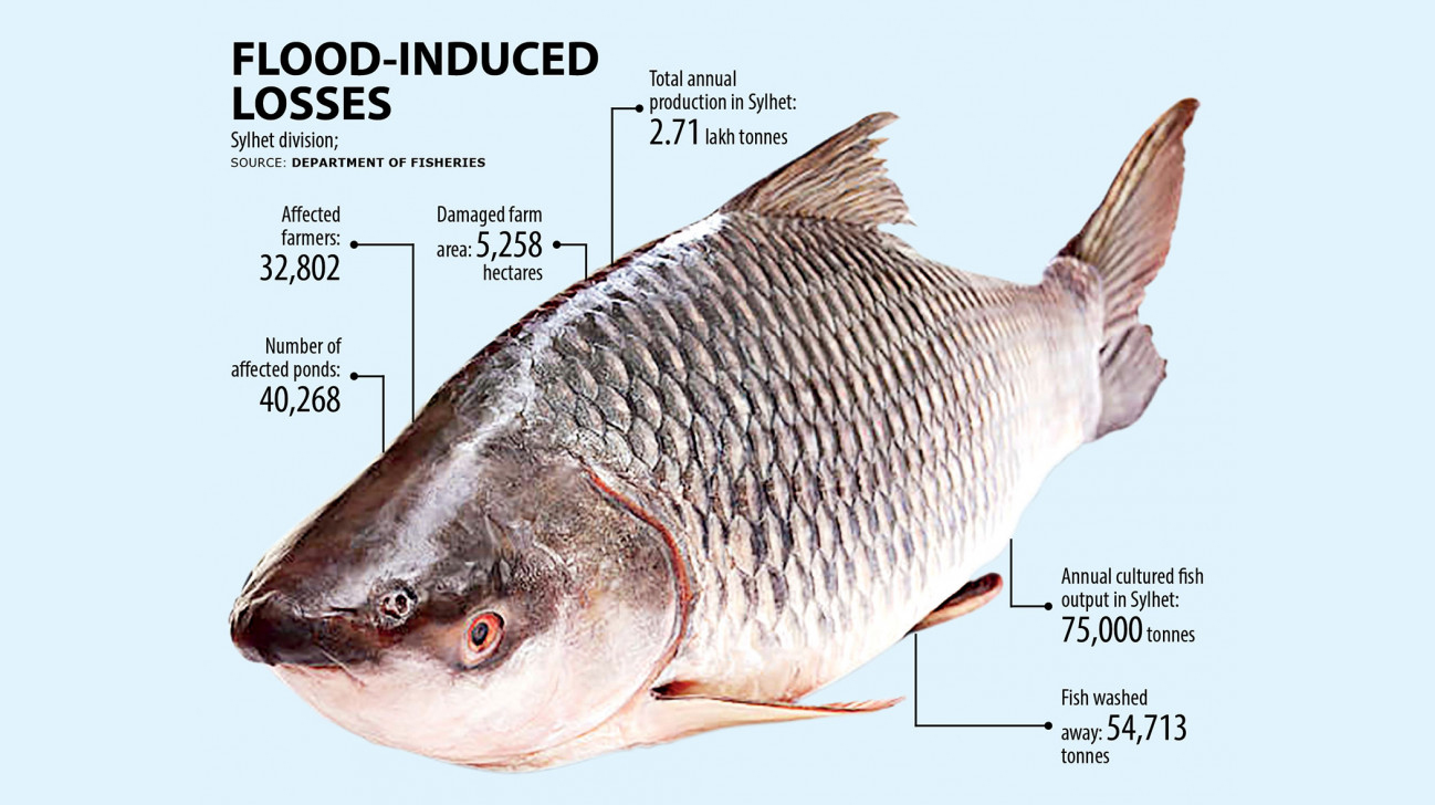 Floods wash away Tk 140cr fish in Sylhet