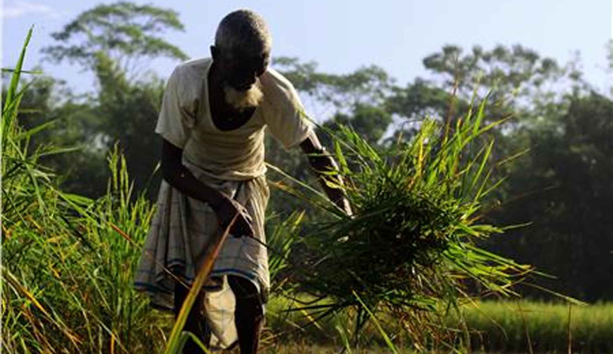 Inflation, globalisation, and localisation