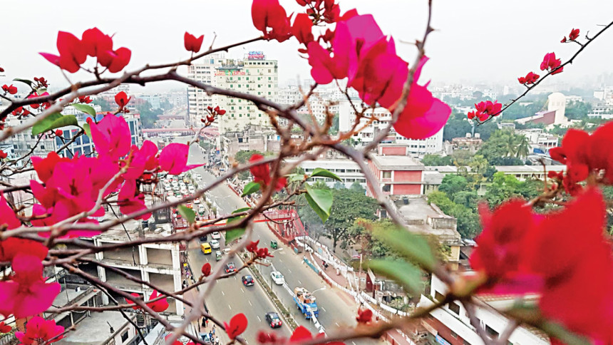 Dhaka air “good” today, according to AQI