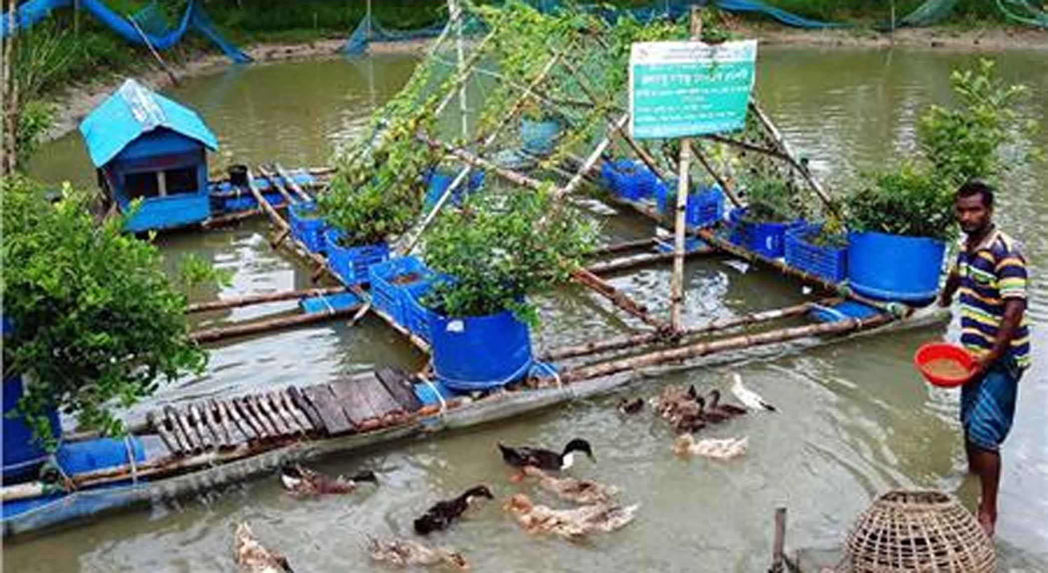 Tackling climate change: NbS can enhance Locally-Led Adaptation