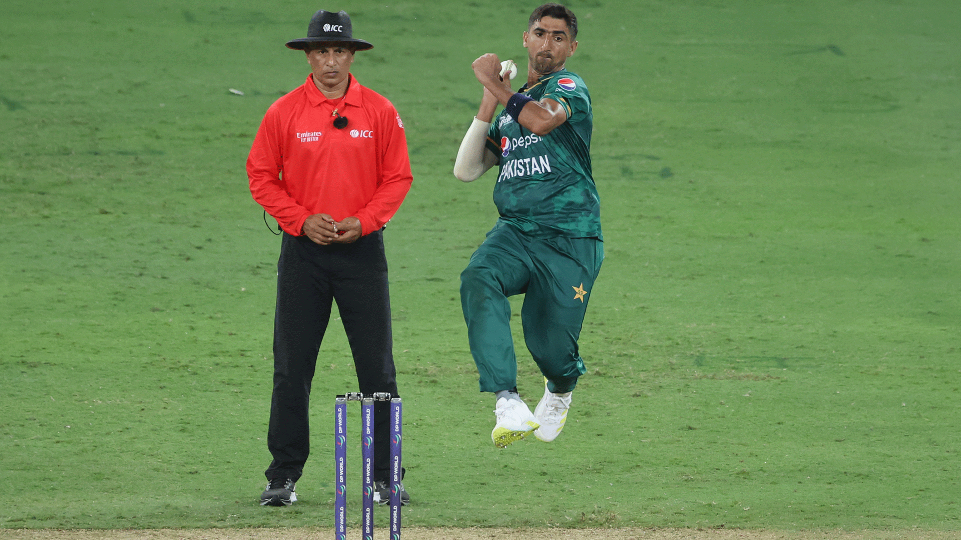 ‘You can tell from their eyes that they want to dominate’