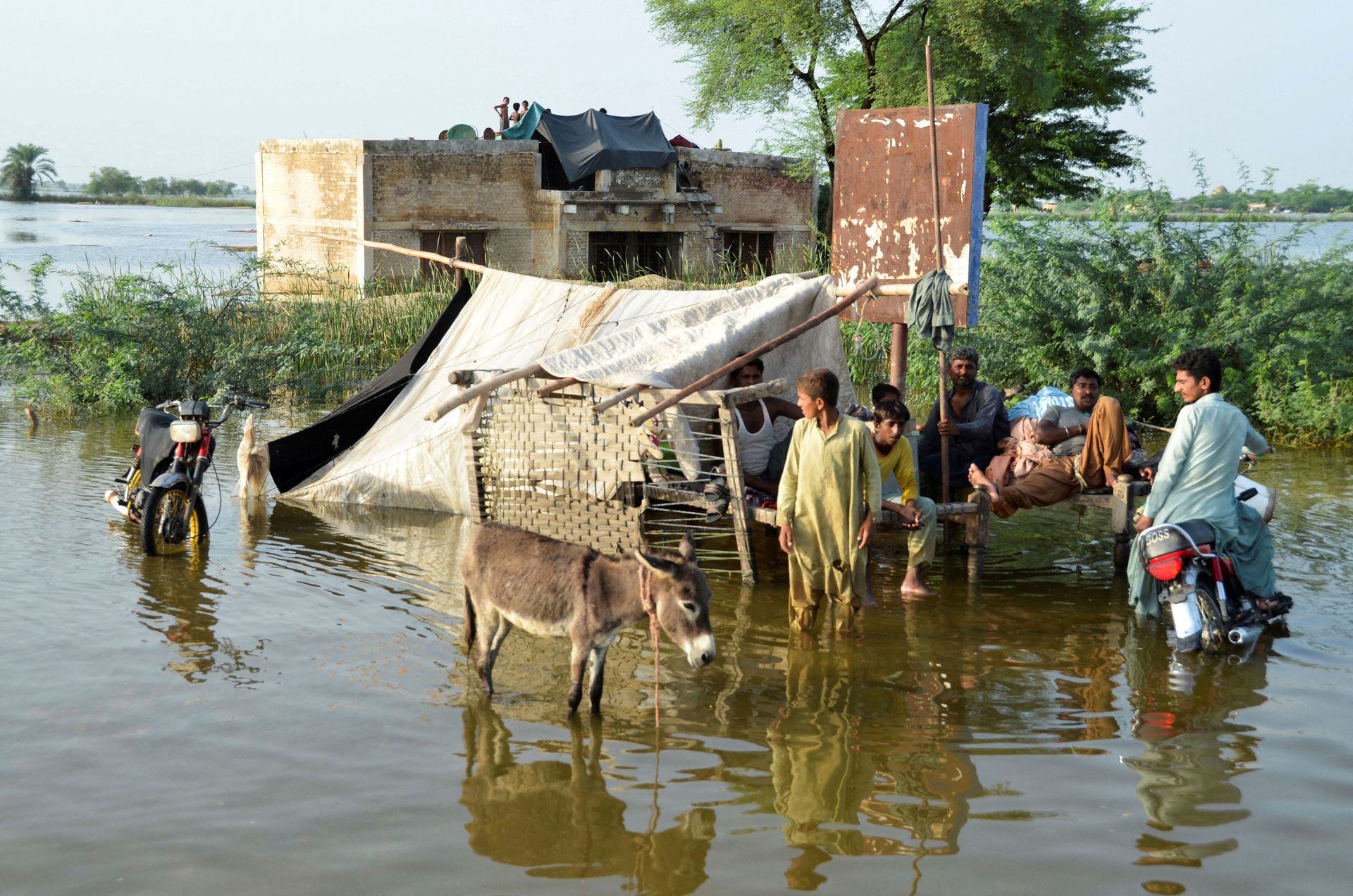 South Asian nations need a collective plan to tackle climate change