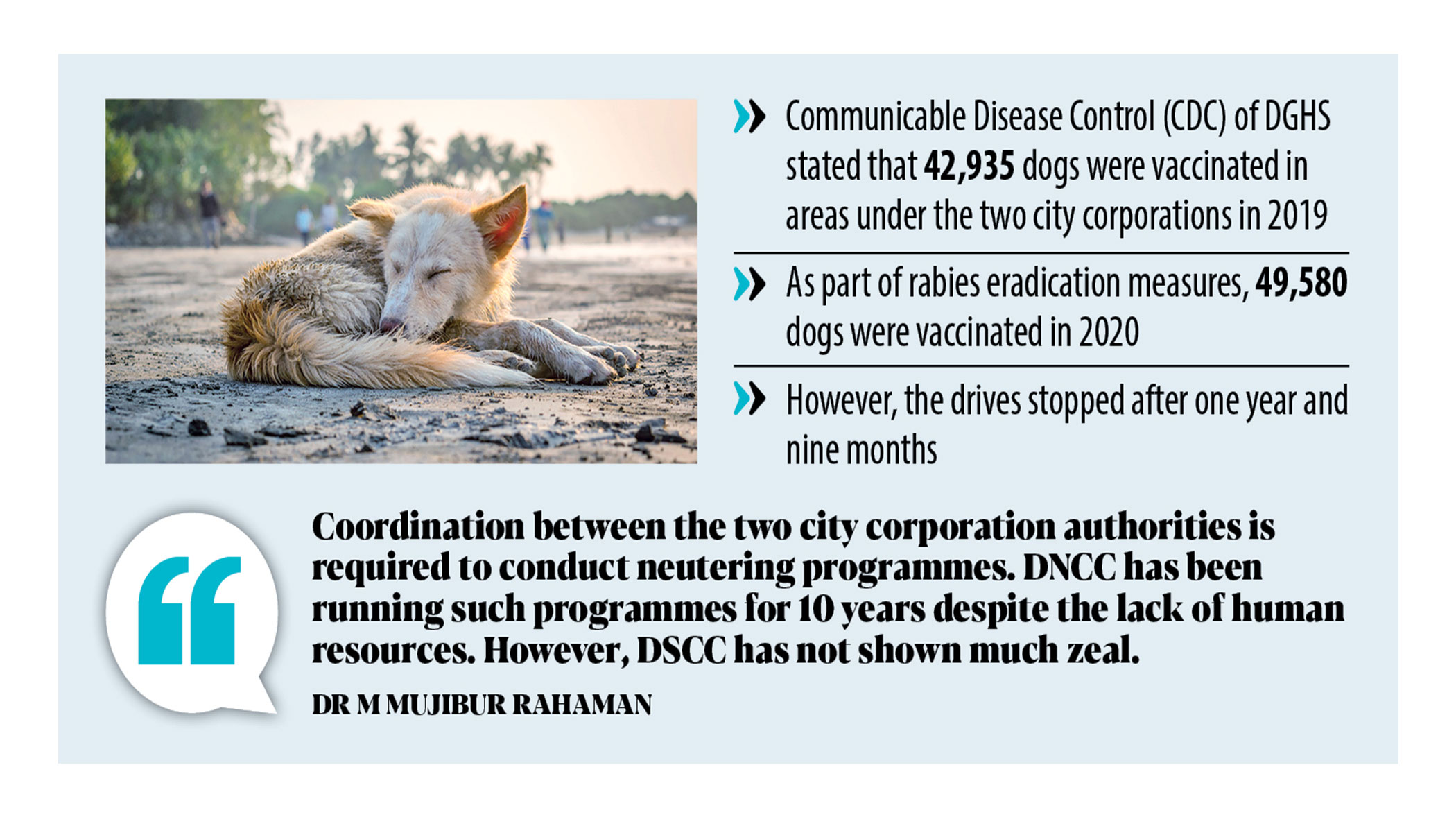 Dhaka’s canine conundrum