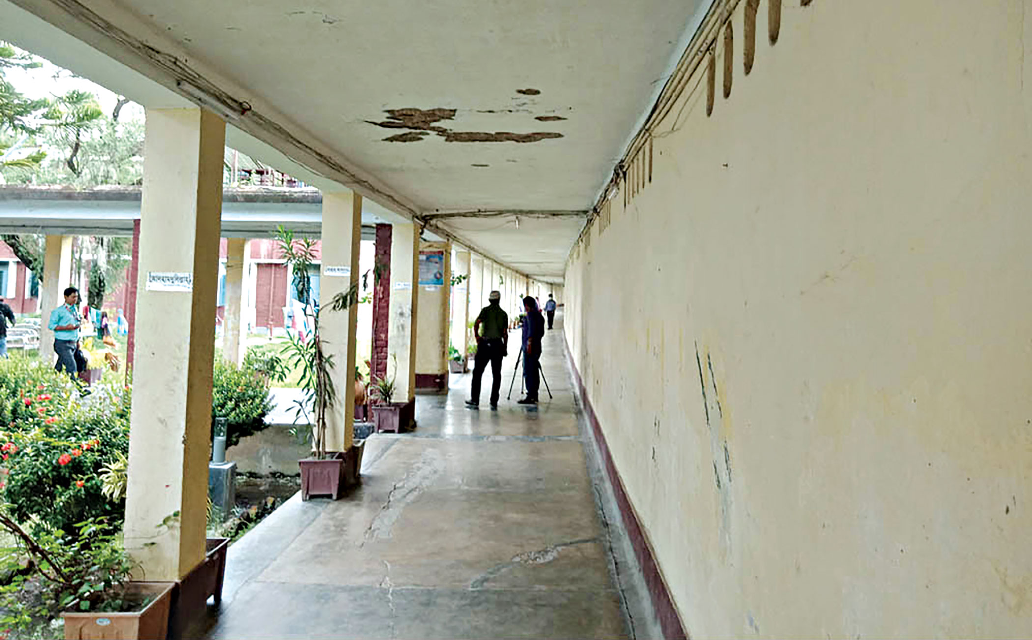 Mental healthcare grossly neglected