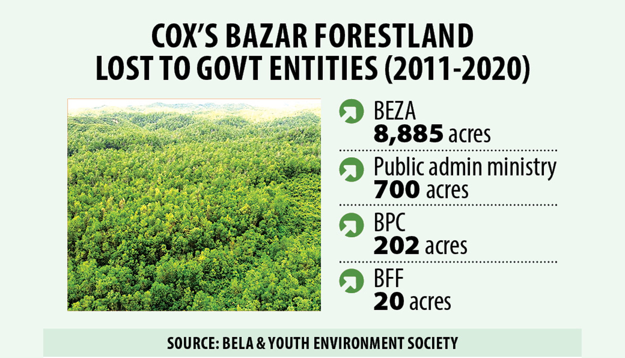 A forest faces further forays