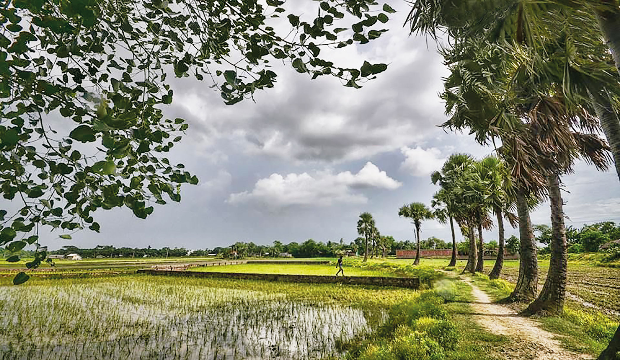 In Memory of Jibanananda Das