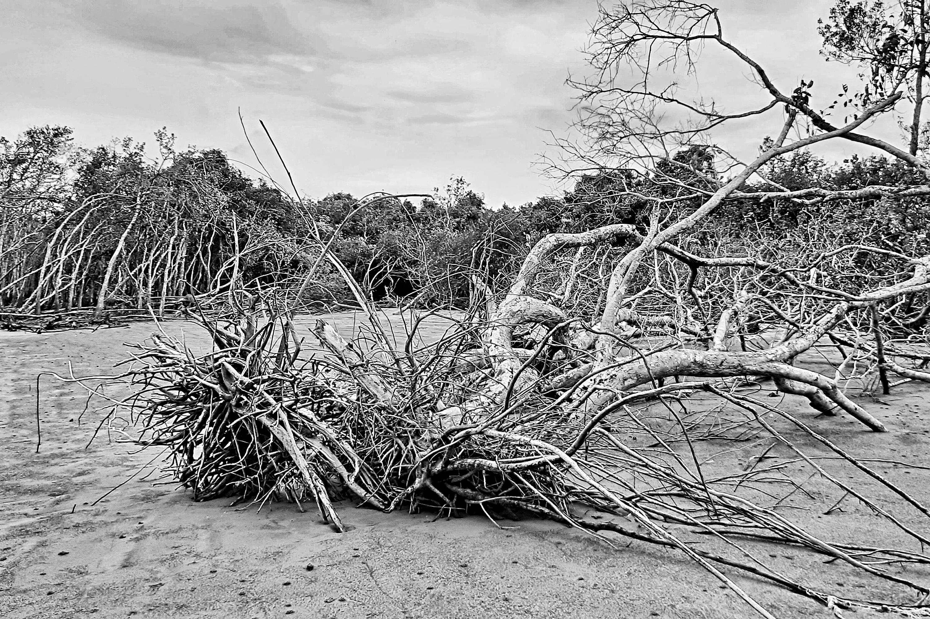 Conservation science has moved on. We, too, must adapt and change.