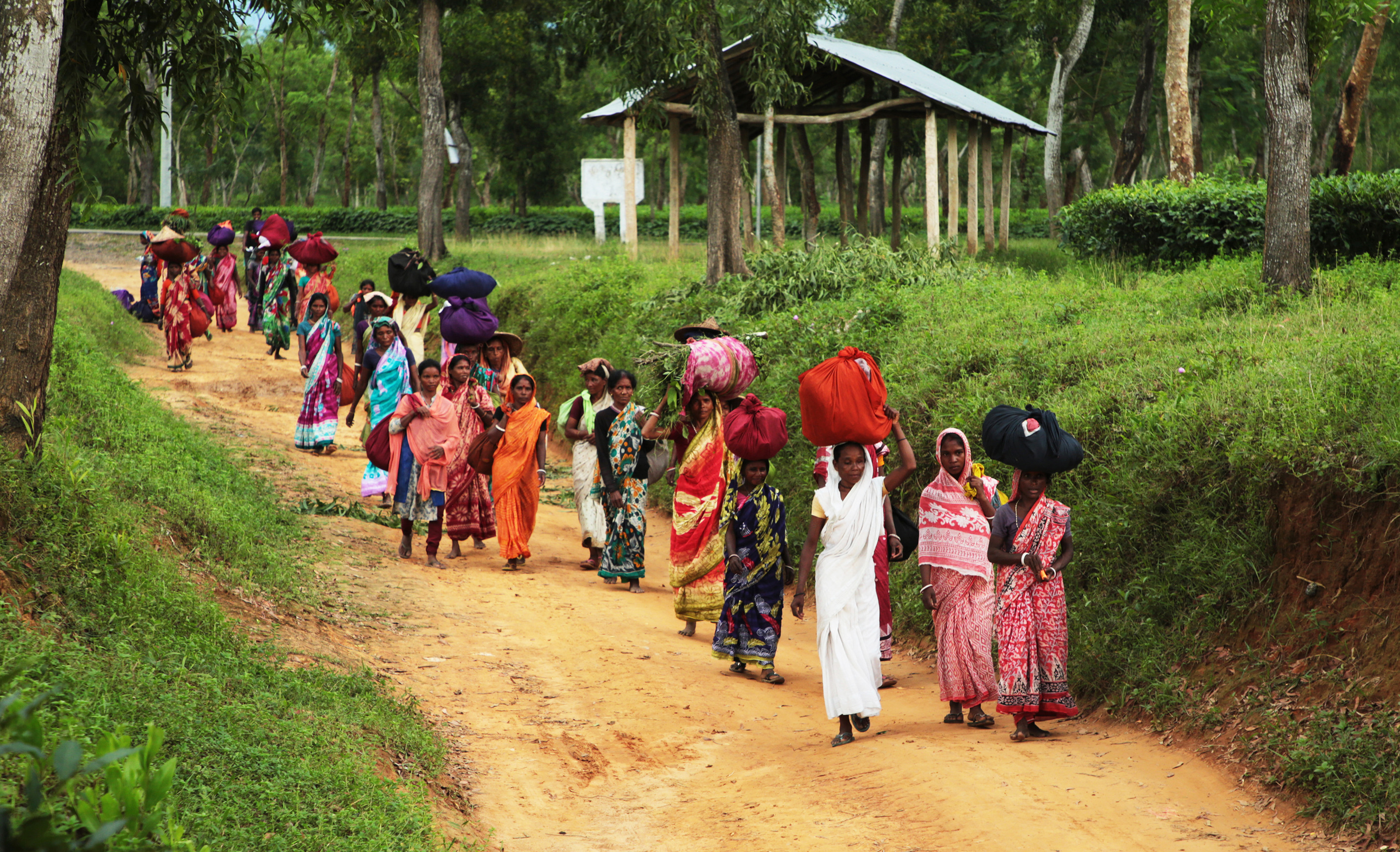 Expand social protection in the new year