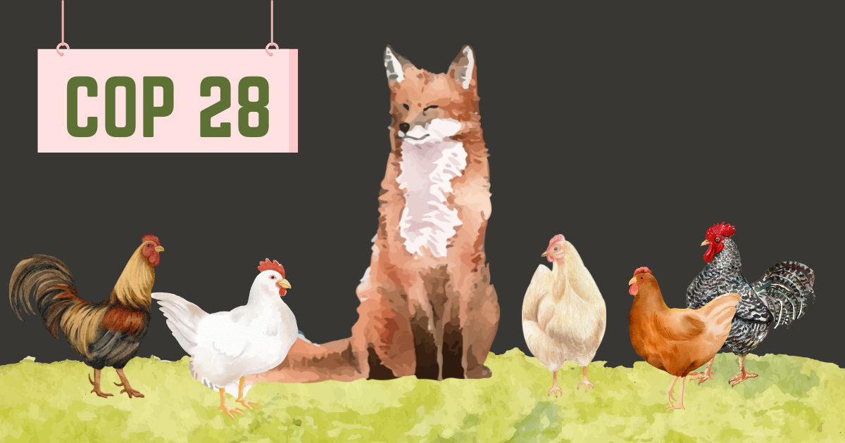 COP28: Asking a fox to guard the hen house