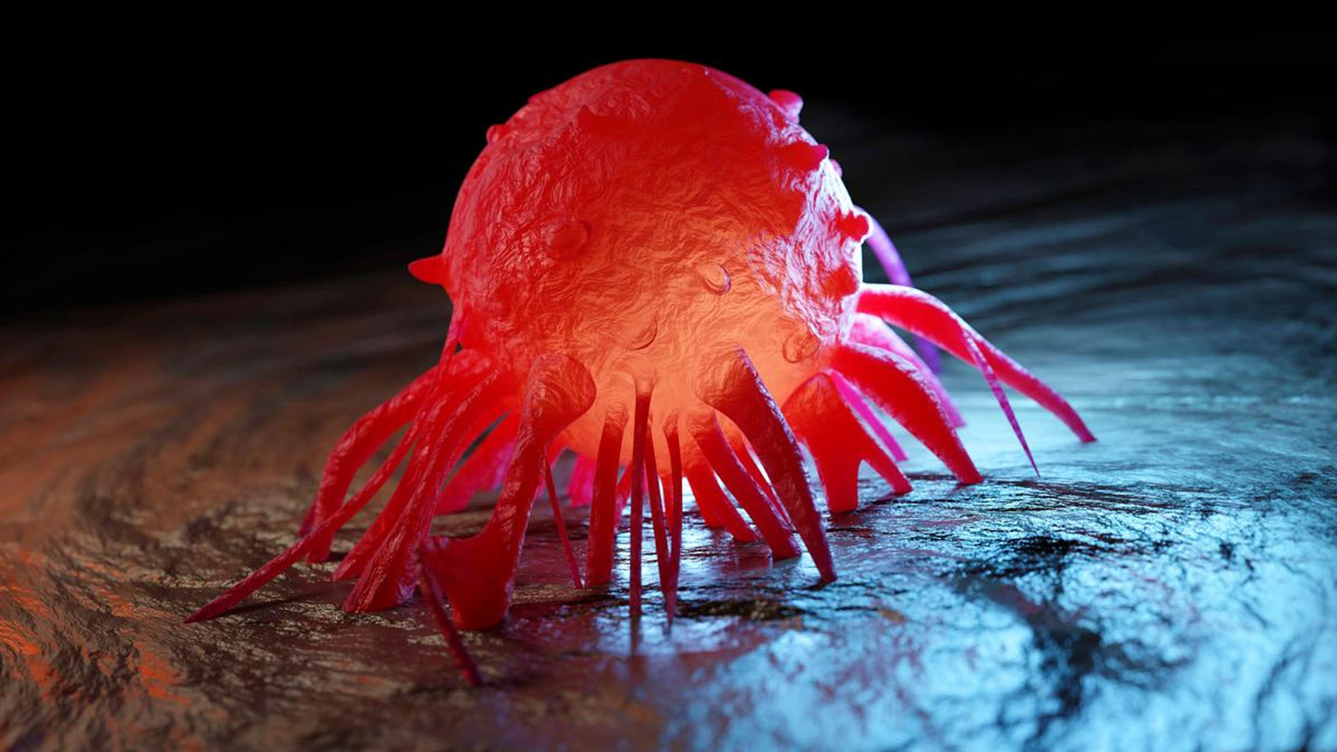 Diagnosed with cancer? Psycho-oncology can help