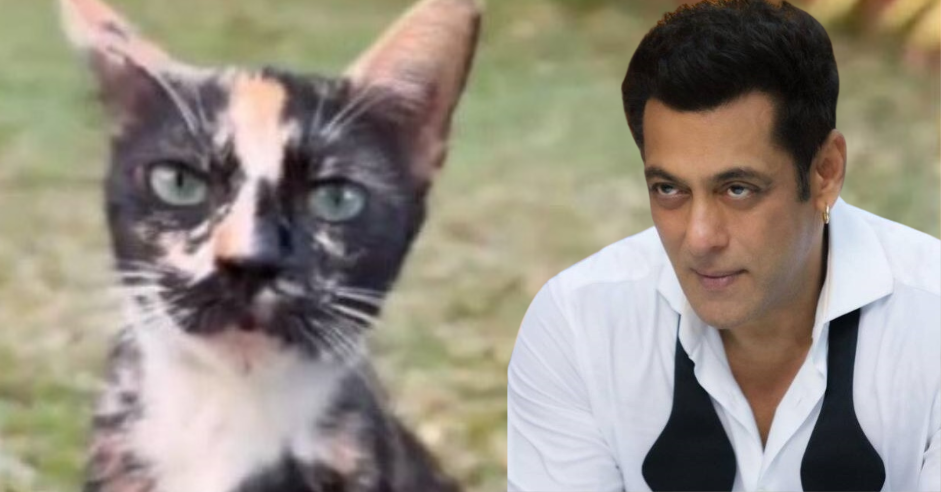 Salman Khan teases ‘Billi Billi’ song with funny video 