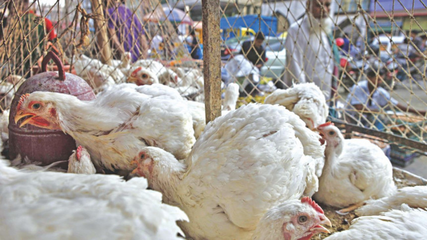 4 companies summoned for selling broiler chicken at high prices