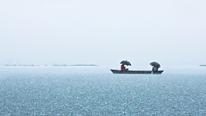 How the fires and heatwave exposed our dead wetlands