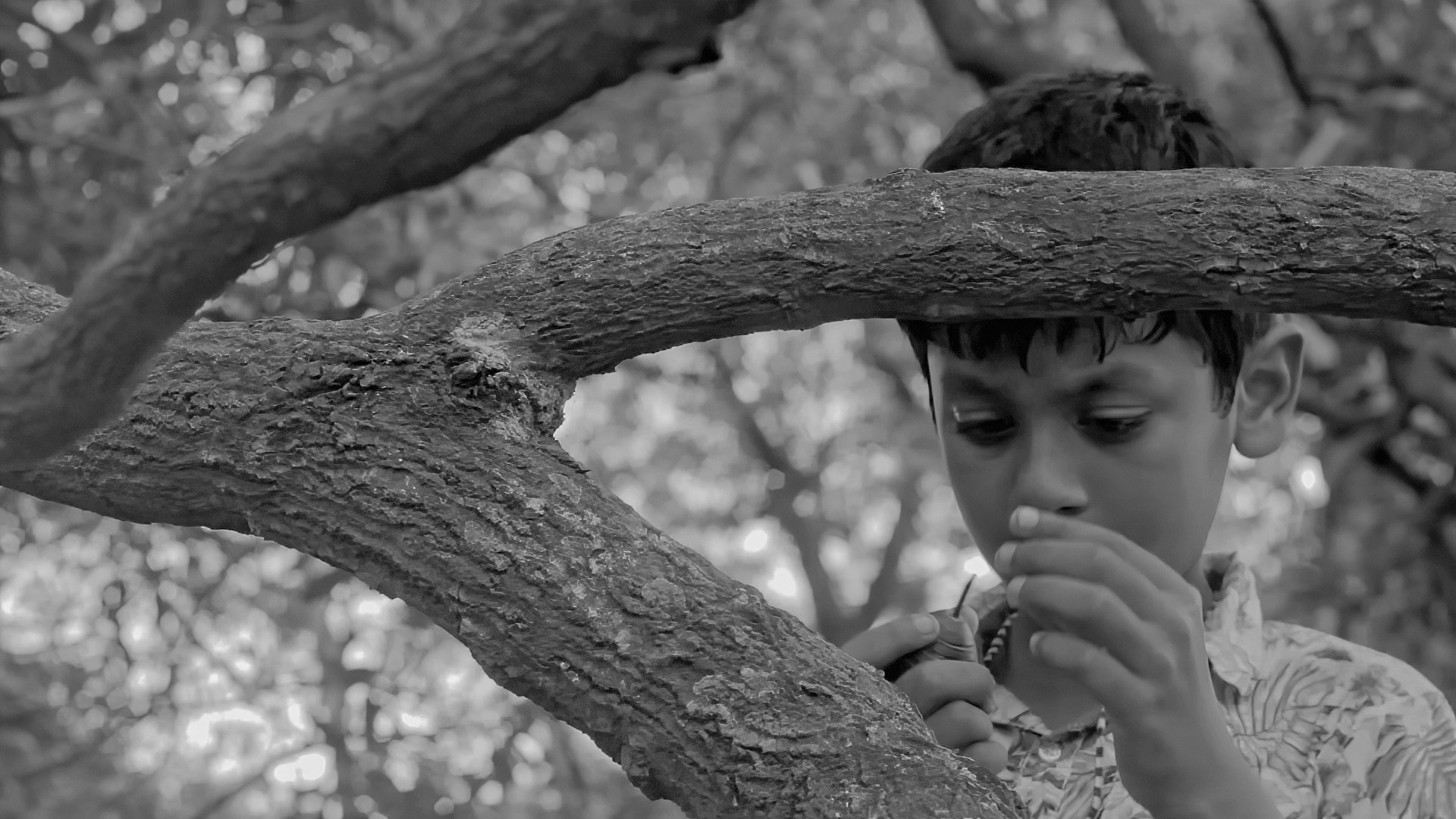 ‘Aam Kathaler Chhuti’ selected in Russia’s Cheboksary Int’l Film Festival